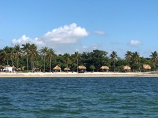 Enlarge photo 82