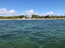 Enlarge photo 91