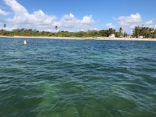Enlarge photo 92
