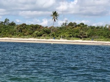 Enlarge photo 96