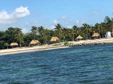 Enlarge photo 97