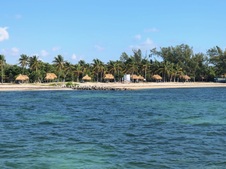 Enlarge photo 85