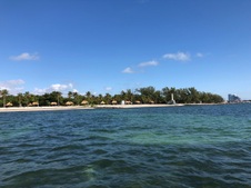 Enlarge photo 72