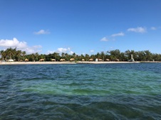 Enlarge photo 74