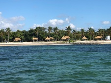 Enlarge photo 76