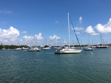 Enlarge photo 107