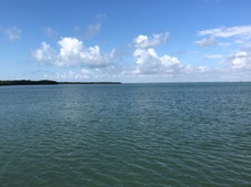 Enlarge photo 110