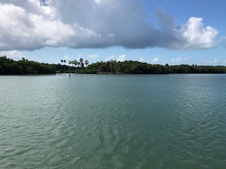 Enlarge photo 108