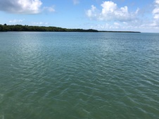 Enlarge photo 109