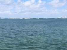 Enlarge photo 111