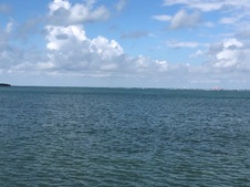 Enlarge photo 102