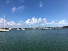 Enlarge photo 113