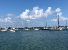 Enlarge photo 114