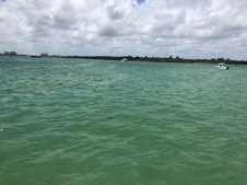 Enlarge photo 19