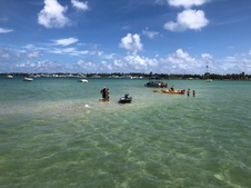 Enlarge photo 28