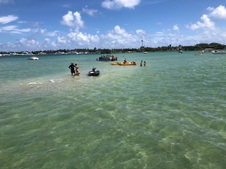 Enlarge photo 29