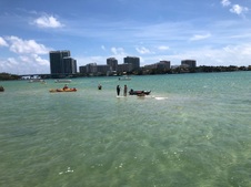 Enlarge photo 27