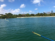 Enlarge photo 15