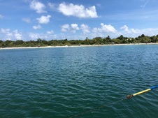 Enlarge photo 3