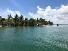 Enlarge photo 33