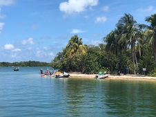 Enlarge photo 41