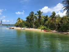 Enlarge photo 40