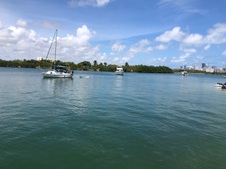 Enlarge photo 42