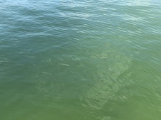 Enlarge photo 46