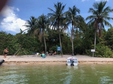 Enlarge photo 44
