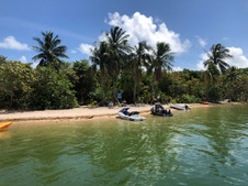Enlarge photo 47