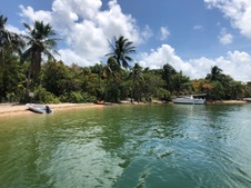 Enlarge photo 48