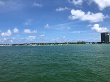 Enlarge photo 49
