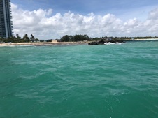 Enlarge photo 51