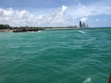 Enlarge photo 54