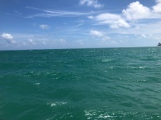 Enlarge photo 56