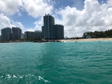 Enlarge photo 57