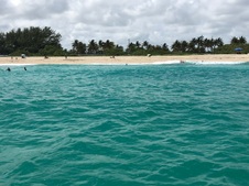 Enlarge photo 61