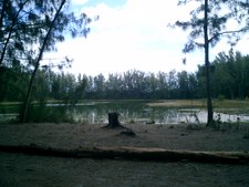 WATER LOCATION/PARK LAKES /WILDERNESS