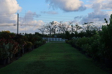 Enlarge photo 51