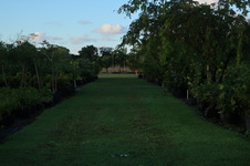 Enlarge photo 52