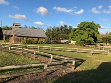 Enlarge photo 229