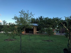 Enlarge photo 59