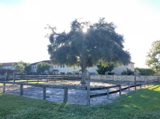 Enlarge photo 179