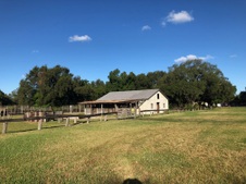 Enlarge photo 155