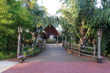 Enlarge photo 88