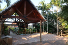 Enlarge photo 89