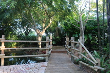 Enlarge photo 91
