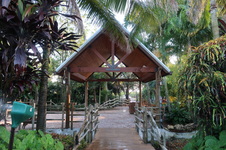 Enlarge photo 93