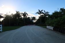 Enlarge photo 95