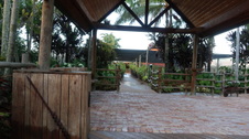 Enlarge photo 107